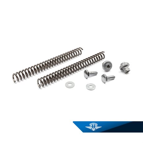 Gaffelfjærsett NTS for Puch Maxi